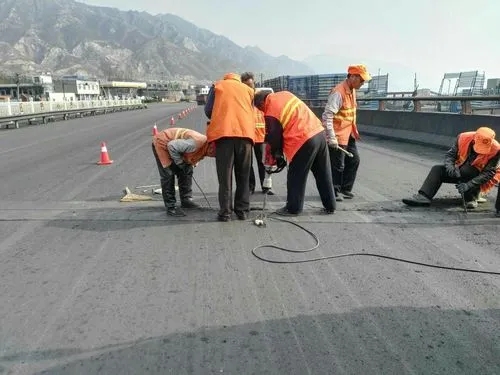 临澧道路桥梁病害治理